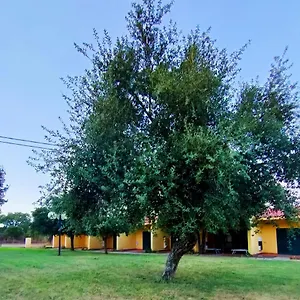 Casa vacanze Nuraghe Ruiu Eco-camping Village, Norbello